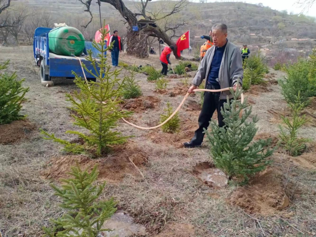 植树3.png 植树3.png