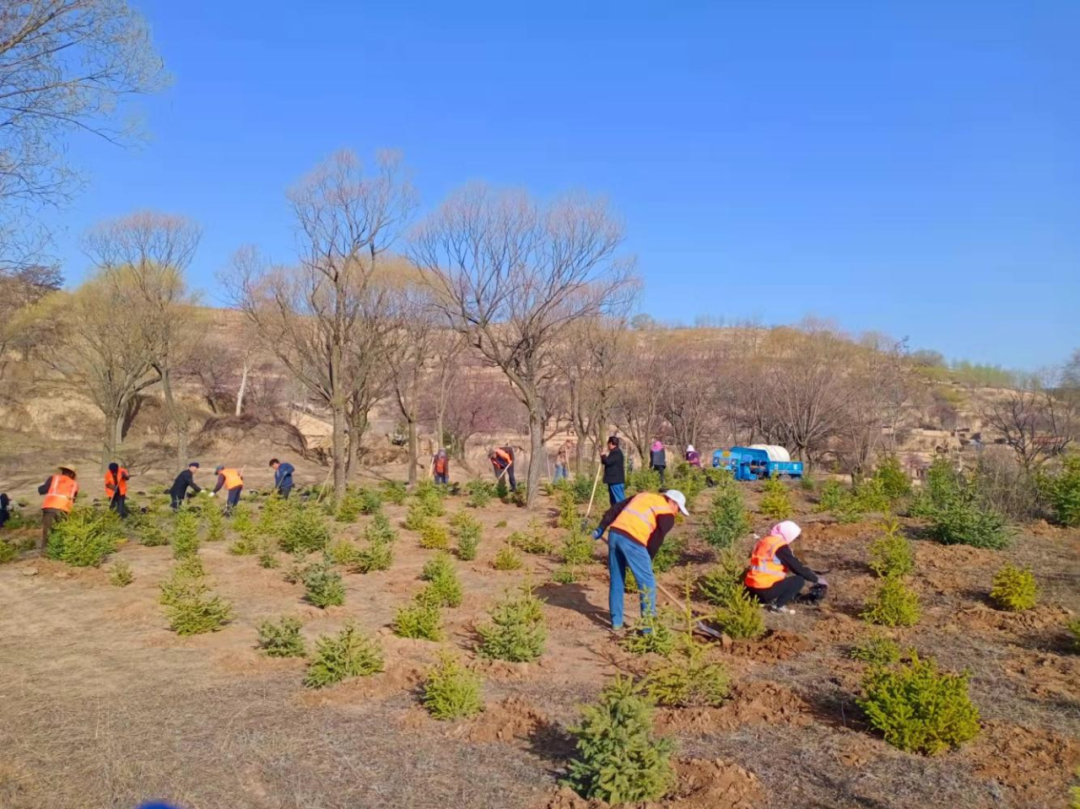 植树1.png 植树1.png